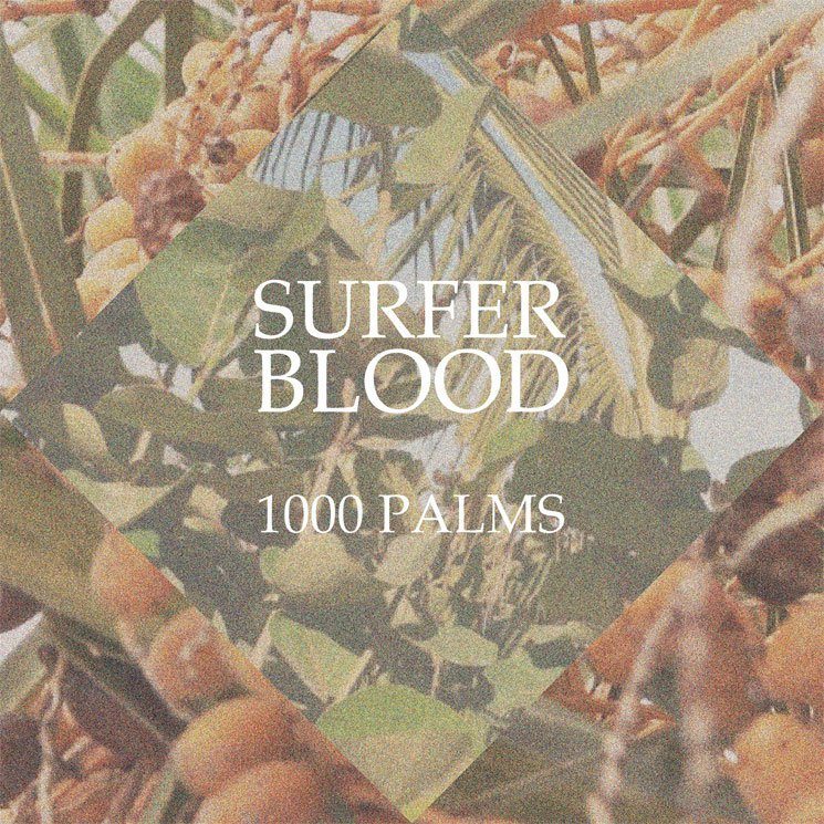 Surfer Blood ‘1000 Palms’