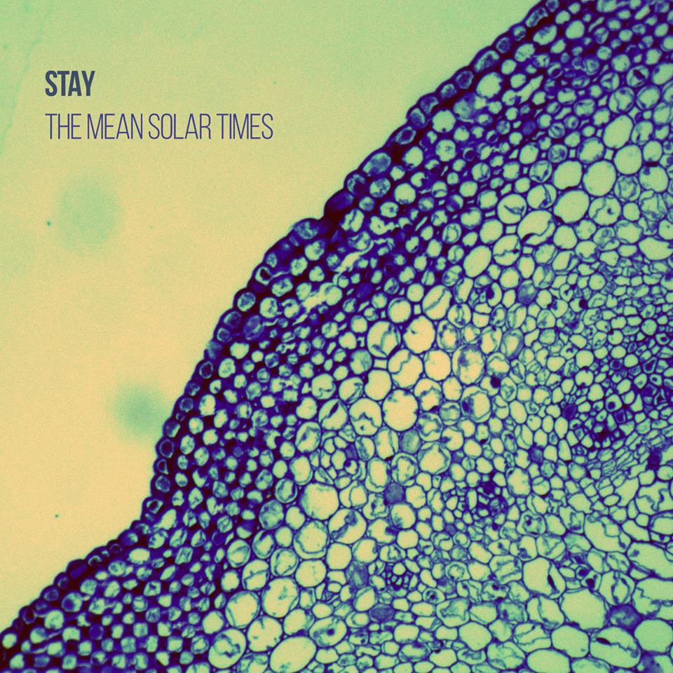 Stay ‘The Mean Solar Times’